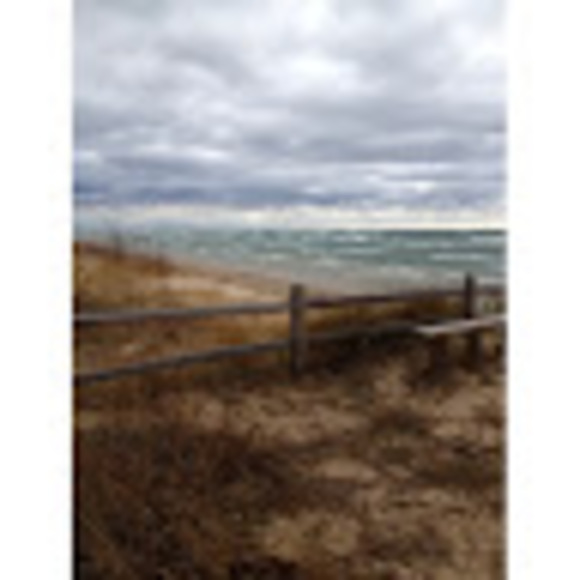 Meet your Posher, Dorothy - Picture 1 of 1